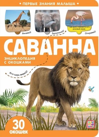 Первые знания малыша. Саванна фото книги