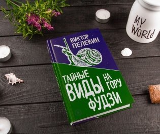 Тайные виды на гору Фудзи фото книги 2