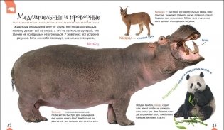 Удивительные животные. Первая энциклопедия фото книги 2