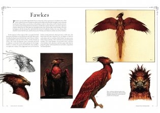 Harry Potter: The Film Vault - Volume 5: Creature Companions фото книги 3