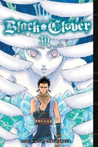 Black Clover, Vol. 30 фото книги