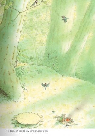 14 лесных мышей. Завтрак фото книги 4