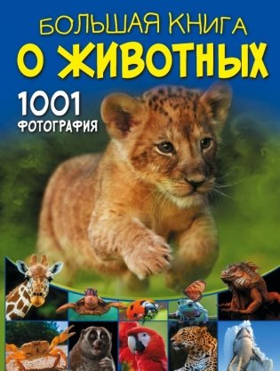 Большая книга о животных. 1001 фотография фото книги