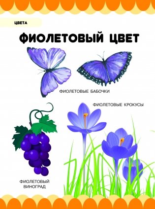 В гостях у важных наук фото книги 4