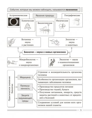 Биология. 6 класс. Опорные конспекты, схемы и таблицы. ГРИФ фото книги 5