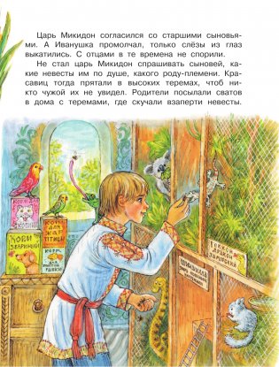 Царевна-лягушка фото книги 4