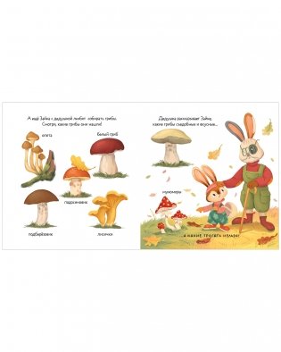 Книжки-картинки. Зайка и золотая осень фото книги 6