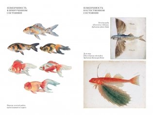 Происхождение видов путем естественного отбора фото книги 7