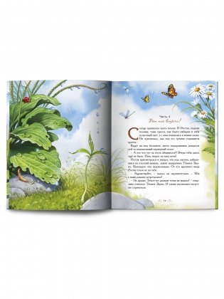 Колосок и солнце фото книги 6