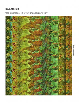 Уникальная книга для тренировки зрения фото книги 6