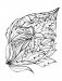 Creative Haven Calm Coloring Book фото книги маленькое 4