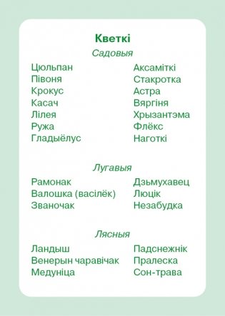 Легко! Дидактические карточки "Цветы" (4-7 лет) фото книги 7