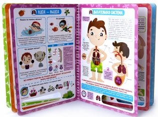 Почему бьётся сердце? Анатомия для детей. Энциклопедия. Книжка на пружине фото книги 3