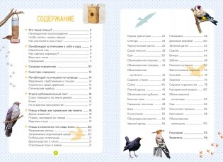 Птицы фото книги 2