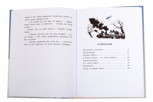 Штурман Фрося фото книги 4