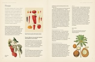 Ботаника для садоводов фото книги 4