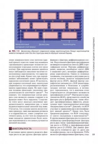 Косметическая дерматология. Принципы и практика. Руководство фото книги 4
