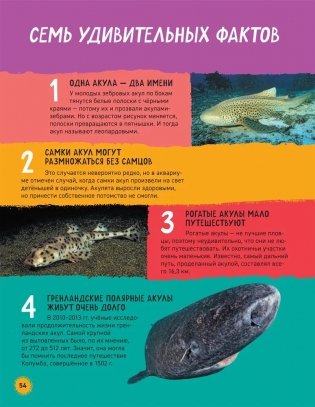 Акулы. Иллюстрированная энциклопедия фото книги 4