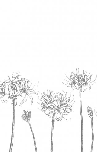 Сон и Пепел. Оформление Люция фото книги 3