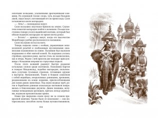 Томек ищет снежного человека фото книги 4