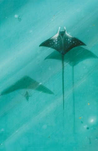 Диковинные животные фото книги 3