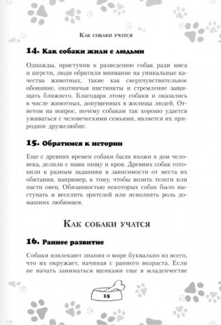 Научись думать как собака. 501 совет по уходу и воспитанию фото книги 12