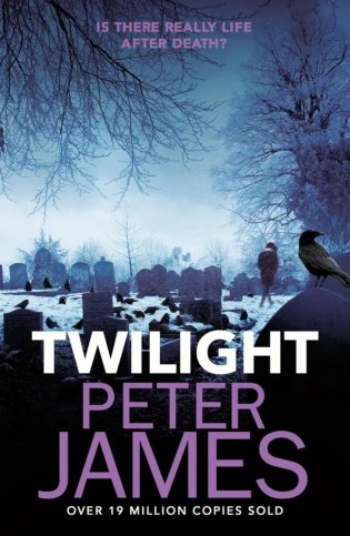 Twilight фото книги