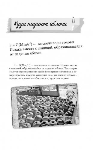 Мемуары двоечника фото книги 7