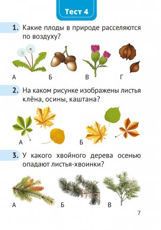 Человек и мир. 1 класс. Тесты фото книги 6