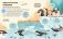 Семья в мире животных. Любовь, забота и воспитание в дикой природе фото книги маленькое 5