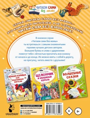 Карлик Нос фото книги 8