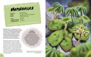 Эра динозавров. Жизнь в доисторические времена фото книги 4