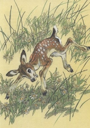 Бемби. Лесная сказка фото книги 4