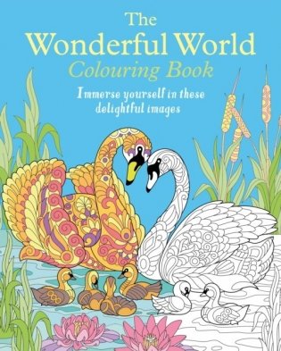Wonderful World Colouring Book фото книги