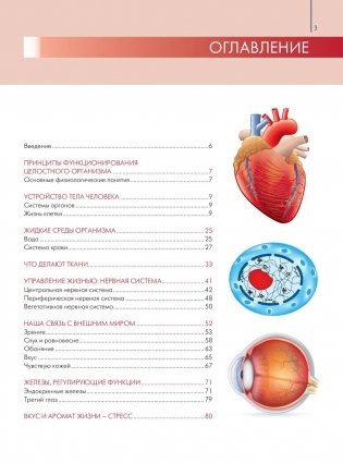 Анатомия и физиология. Большой популярный атлас фото книги 4
