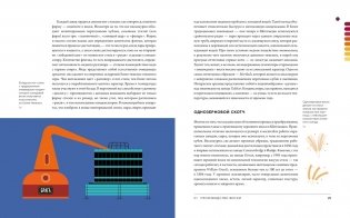 Love&Whiskey. Виски. Путеводитель в мир свободы, культуры и коктейлей фото книги 5