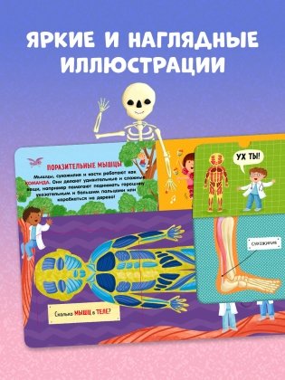 Книжка с окошками. Как устроено тело человека. И другие интересные вопросы фото книги 10