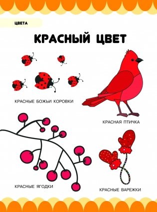 Цвета, серия "Книга умного малыша" фото книги 3