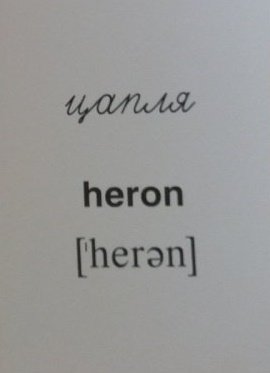 Демонстрационные картинки Супер. Перелетные птицы.16 раздаточных карточек с текстом фото книги 6
