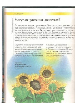 Моя первая энциклопедия фото книги 3