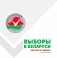 Выборы в Беларуси. Коротко о главном фото книги маленькое 2