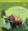 Кто работает в лесу? Серия "Славим Родину трудом" фото книги маленькое 2