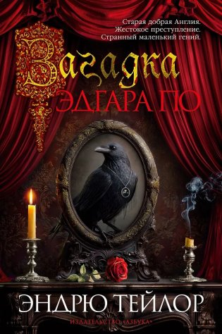 Загадка Эдгара По фото книги