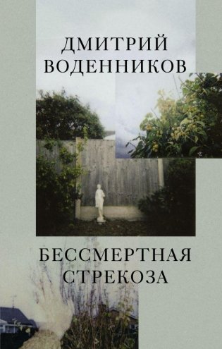 Бессмертная стрекоза фото книги