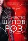 Королевство шипов и роз фото книги маленькое 2