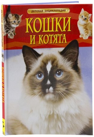 Кошки и котята фото книги