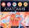 Анатомия. Энциклопедия открытий фото книги маленькое 2