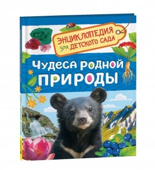 Чудеса родной природы. Энциклопедия для детского сада фото книги